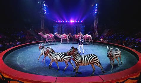 Universoul circus - Watch. Home. Live